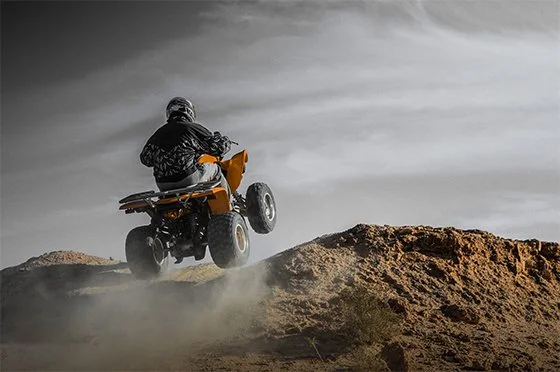 Half-Day Quad Biking in the Palmeraie