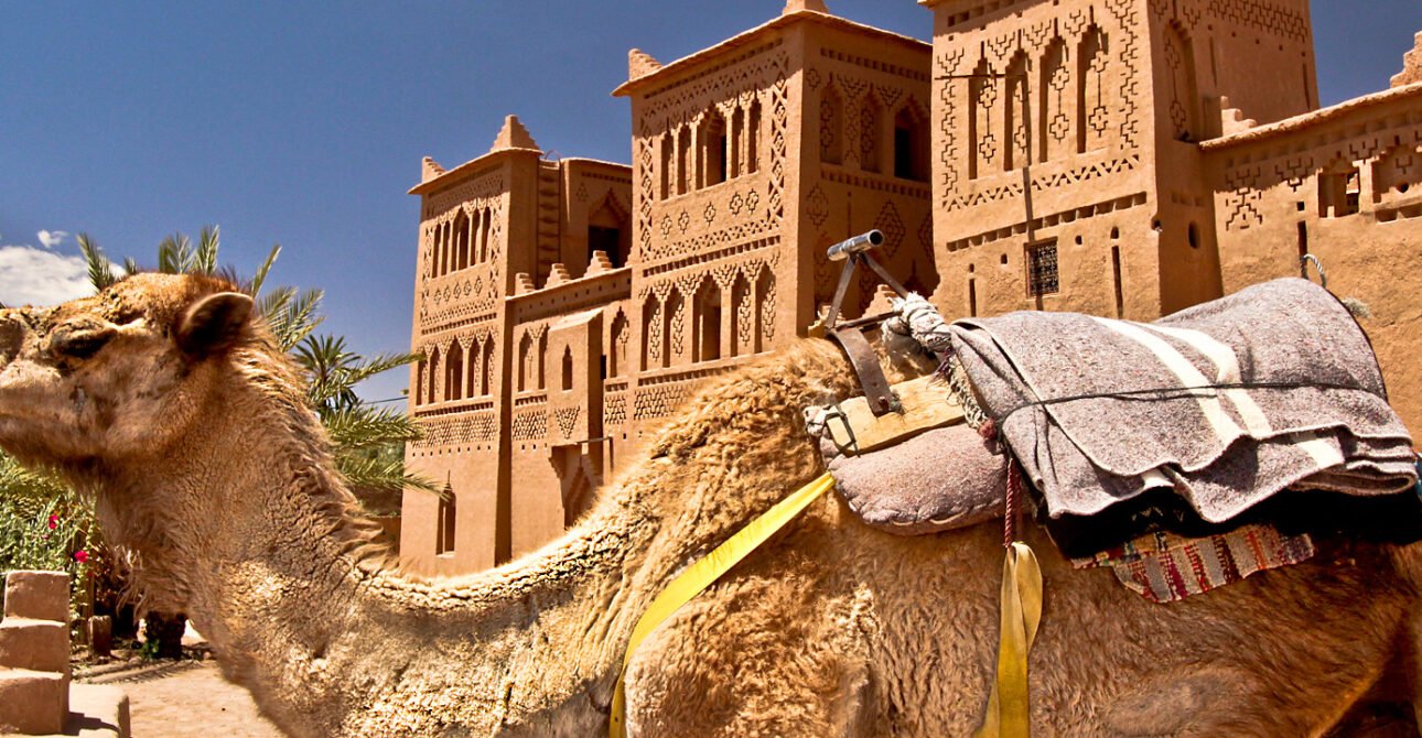 Shared Day Trip from Marrakech to Ouarzazate